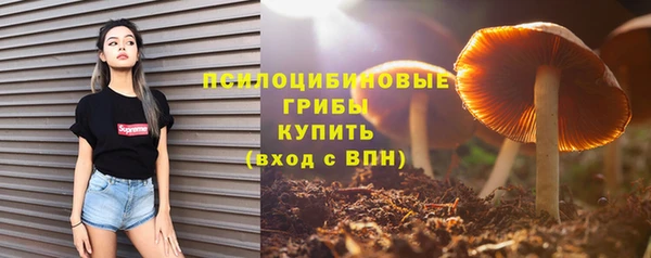 альфа пвп Лабытнанги