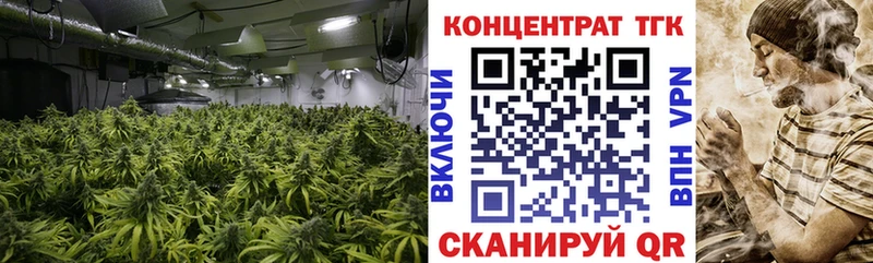 Купить где  Кизел  Дистиллят ТГК Wax 